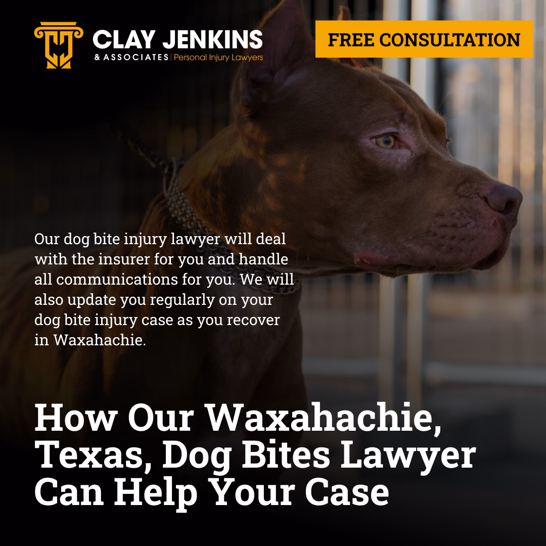 Brown dog with Clay Jenkins & Associates logo and Free Consultation banner for Waxahachie dog bite lawyer services